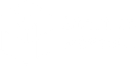 Startup Réseau